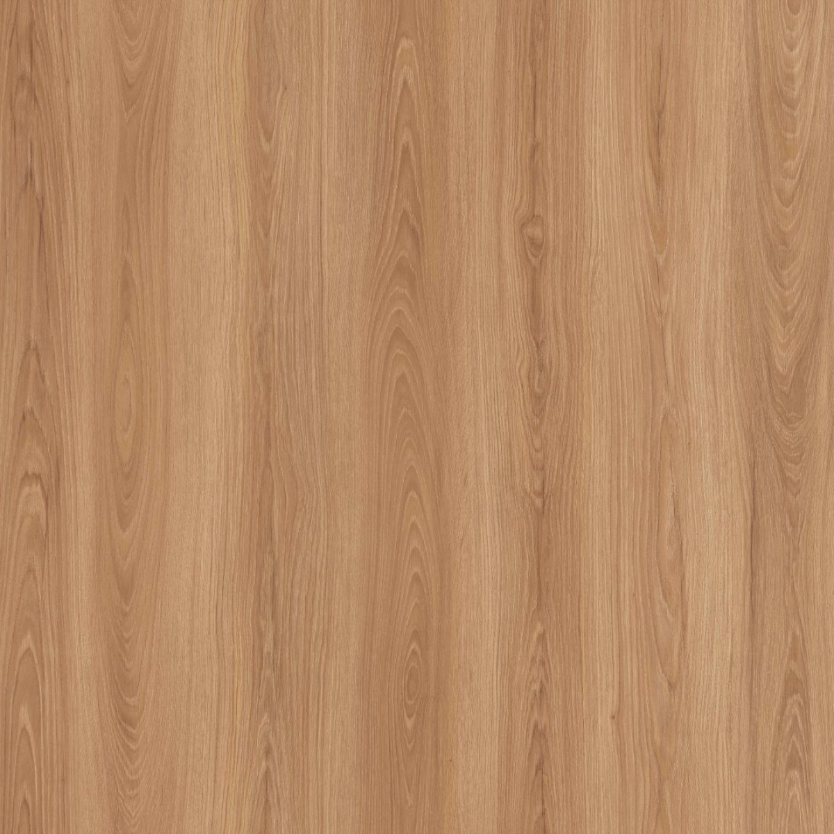 MDF ROBLE CATEDRAL GRANN 06MM 2F. 2,75X1,85 BERNECK