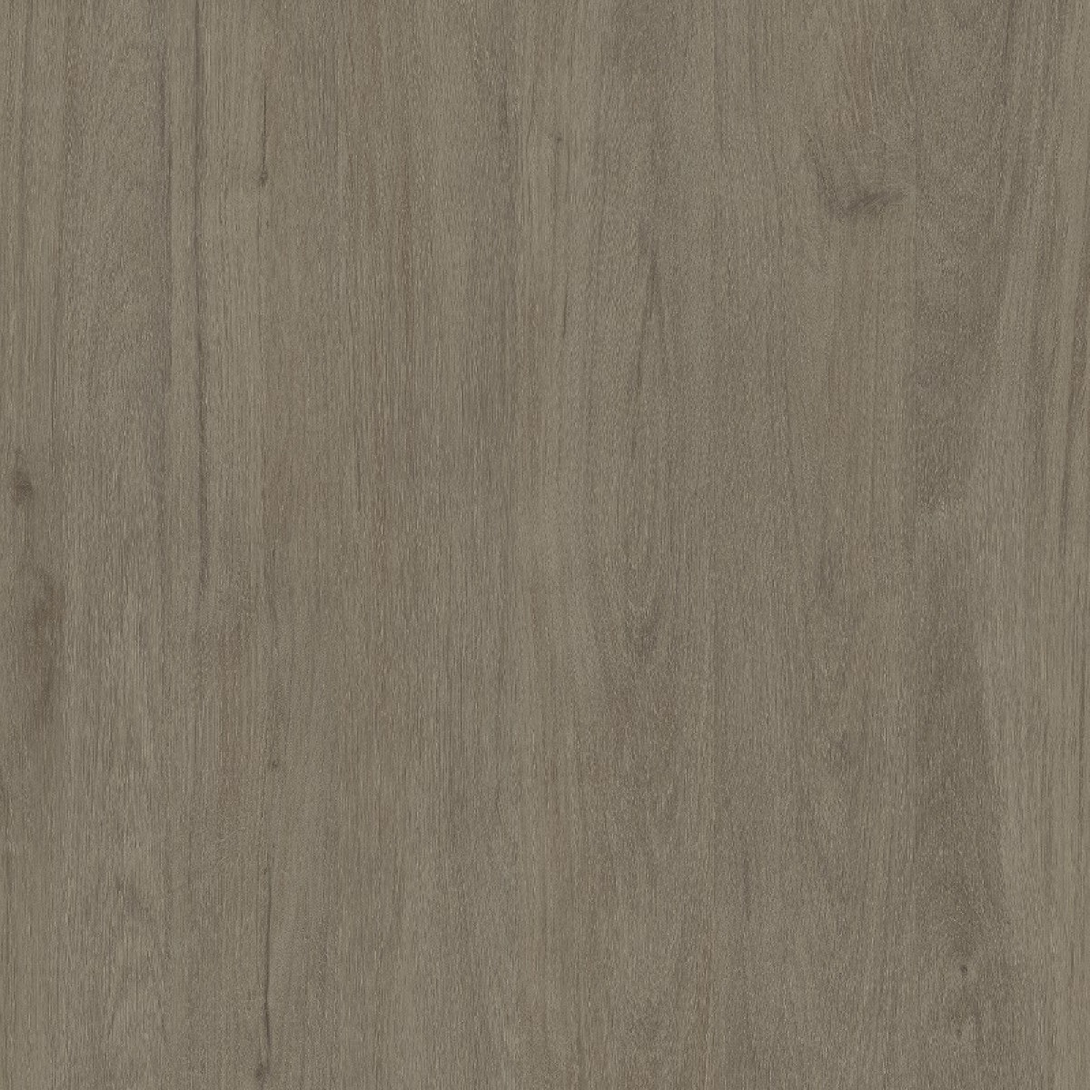 MDF GRISEO GRANN 06MM 2F. 2,75X1,85 BERNECK